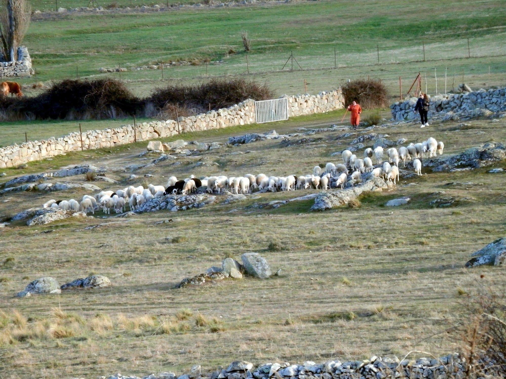 Casa Rural El Dolmen Bernuy-Salinero Exterior foto